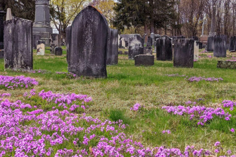 old town cemetery rollinsford nh