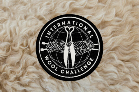 International Back to Back Wool Challenge