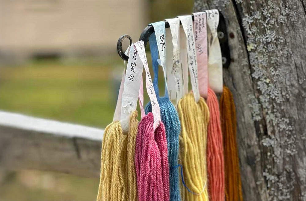 Dye Day with the SENH Spinning Guild