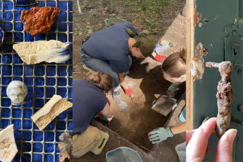 Archaeological Finds From the Wentworth House Site