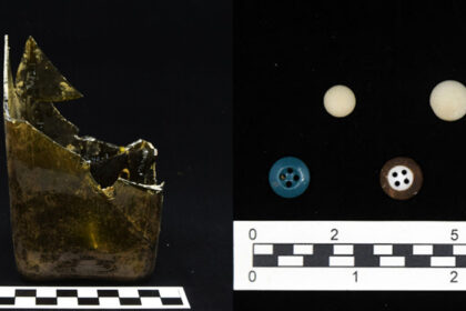 Read all about it! The Archaeological Dig at the Wentworth House